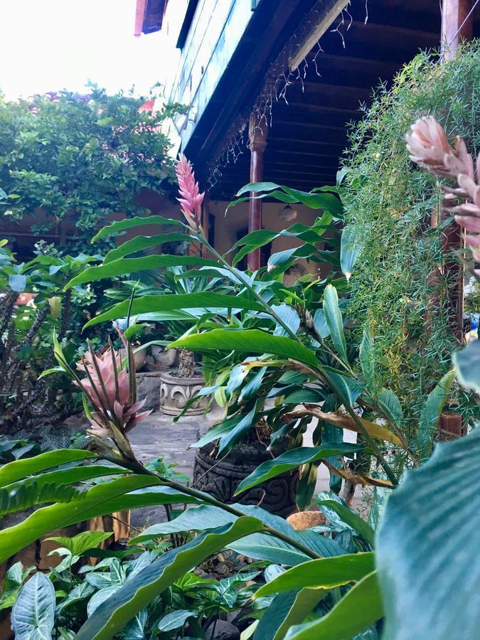 Casadelias Hotel กรานาดา ภายนอก รูปภาพ